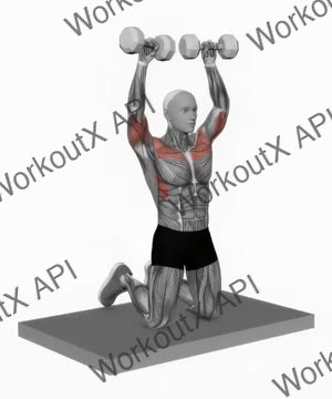 Dumbbell Kneeling Arnold Press exercise demonstration