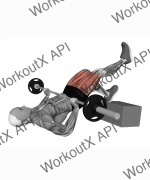 Barbell Feet Elevated Single Leg Glute Bridge exercise demonstration