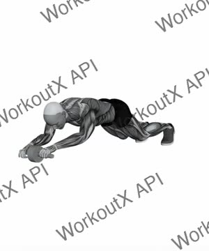 Standing Ab Wheel Rollout exercise demonstration