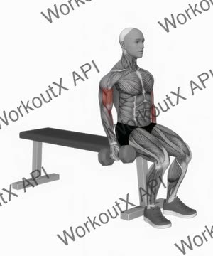 Dumbbell Alternate Biceps Curl (Version 2) exercise demonstration