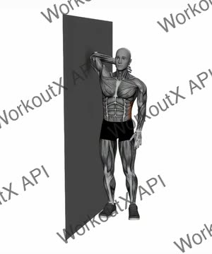 Lats Stretch Elbow on Wall exercise demonstration