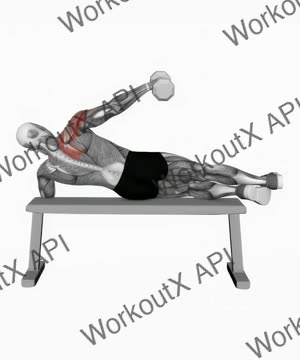 Dumbbell Side Lying One Hand Raise exercise demonstration