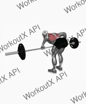 Barbell Pendlay Row exercise demonstration