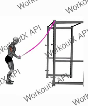 Band Triceps Pushdown Single Arm exercise demonstration