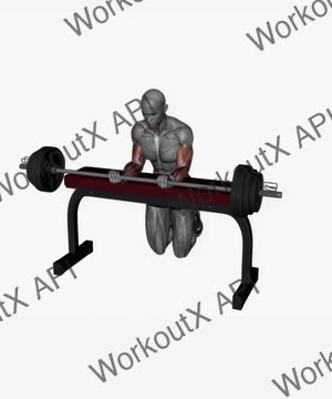 Wrist Curl Barbell exercise demonstration