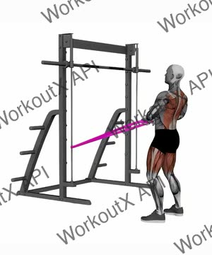Band Squat Row exercise demonstration
