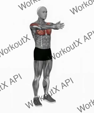 Bodyweight Svend Press exercise demonstration