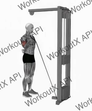 Cable One Arm Curl exercise demonstration