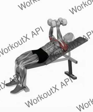 Dumbbell Incline Squeeze Press exercise demonstration