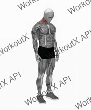 Backward Forward Turn to Side Neck Stretch exercise demonstration