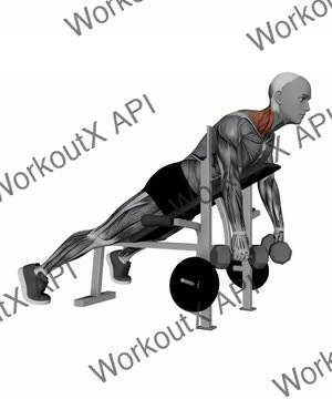 Dumbbell Laying Silverback Shrug exercise demonstration