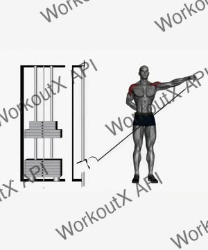Lateral Raises on Cable Machine exercise demonstration