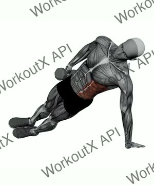 Dumbbell Hand Side Plank exercise demonstration
