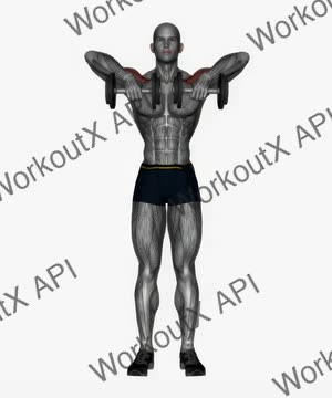 Upright Row Dumbbell exercise demonstration