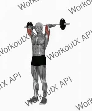 Barbell Standing Overhead Triceps Extension exercise demonstration
