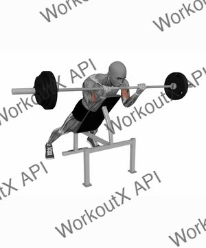 Spider Curl Barbell exercise demonstration