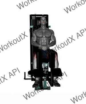 Seated Machine Hip Adductor exercise demonstration