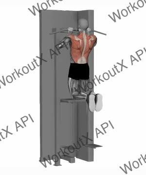 Assisted Chin Up Close Grip exercise demonstration