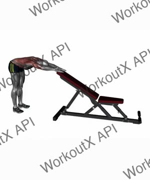 Back Stretch Dynamic exercise demonstration