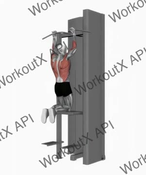 Assisted Parallel Close Grip Pull Up exercise demonstration