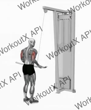Cable Reverse Grip Triceps Pushdown Back Side Pov exercise demonstration