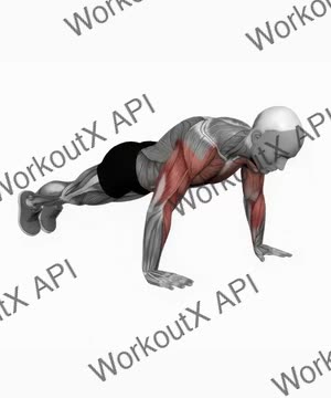 Chest Tap Push Up exercise demonstration