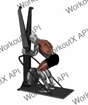 Ski Ergometer Cross Country Ski Squat Pull Half Circles exercise demonstration