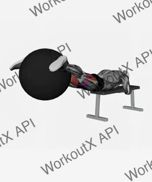 Resistance Band Reverse Hyper With Stability Ball on Flat Bench exercise demonstration