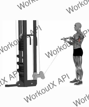 Biceps Curl Cable exercise demonstration