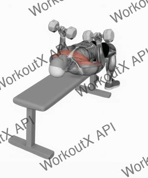 Dumbbell Lying Supine Curl exercise demonstration