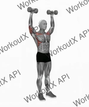 Dumbbell Standing Curl Arnold Press exercise demonstration