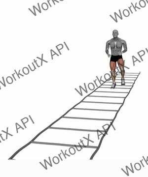 Agility Ladder Skipping 2 Touches exercise demonstration
