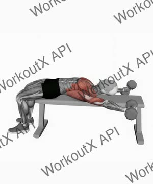Dumbbell Around Pullover exercise demonstration