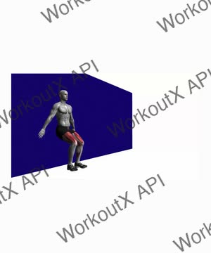 Wall Squat Bodyweight exercise demonstration