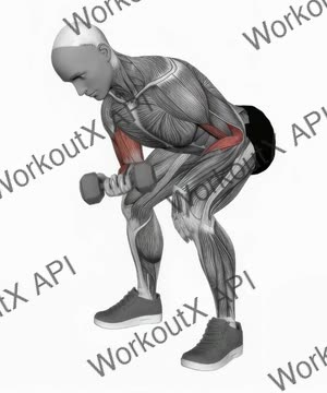 Dumbbell Standing One Arm Concentration Curl exercise demonstration