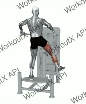 Multi Hip Abduction exercise demonstration