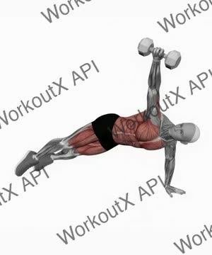 Dumbbell Side Plank With Rear Fly exercise demonstration