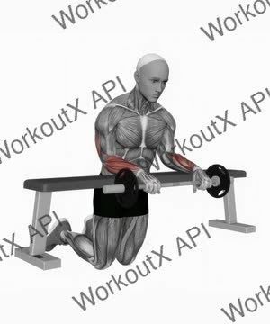 Wrist Extension Barbell (Variation 2) exercise demonstration