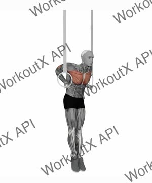 Ring Dips exercise demonstration