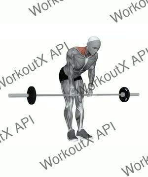 Barbell Silverback Shrug exercise demonstration