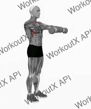 Dumbbell Front Raise exercise demonstration