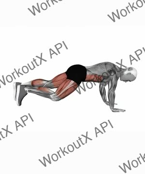 Mountain Climber exercise demonstration
