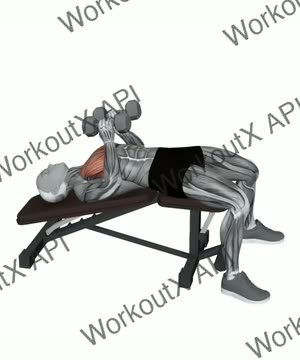 Dumbbell Decline Close Neutral Grip Press exercise demonstration
