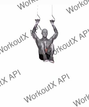 Suspension Trainer With Grips Hanging Leg Hip Raise exercise demonstration