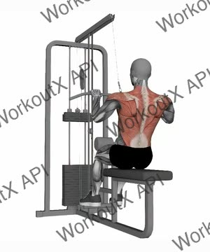 Lat Pull Down Close Grip exercise demonstration