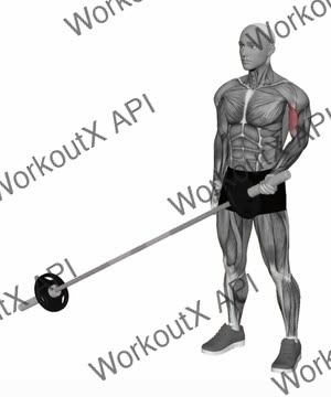 Landmine Bicep Curl exercise demonstration