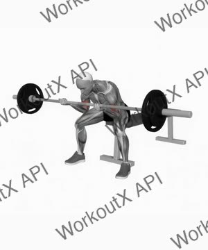 Barbell Seated Concentration Biceps Curl exercise demonstration