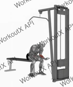 Cable Wrist Curl exercise demonstration