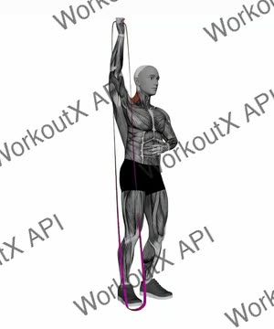 Band Single Arm Overhead Press exercise demonstration