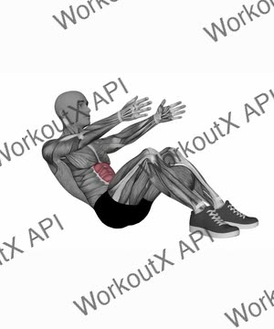 Abdominal Crunches exercise demonstration